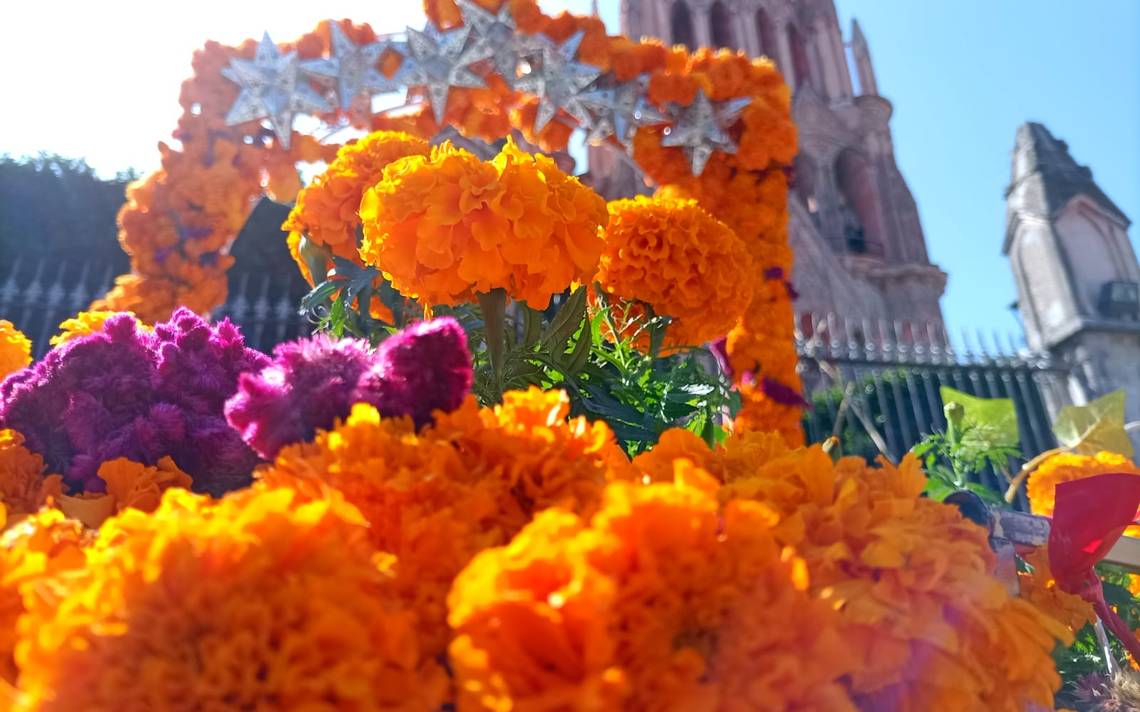 San Miguel de Allende se llena de flores de cempasúchil - El Sol del Bajío  | Noticias Locales, Policiacas, de México, Guanajuato y el Mundo