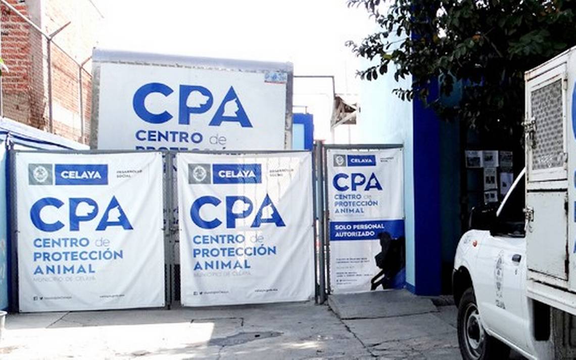 Centro de Protección Animal no puede intervenir en caso de perros  envenenados en la comunidad Primera Fracción de Crespo - El Sol del Bajío |  Noticias Locales, Policiacas, de México, Guanajuato y